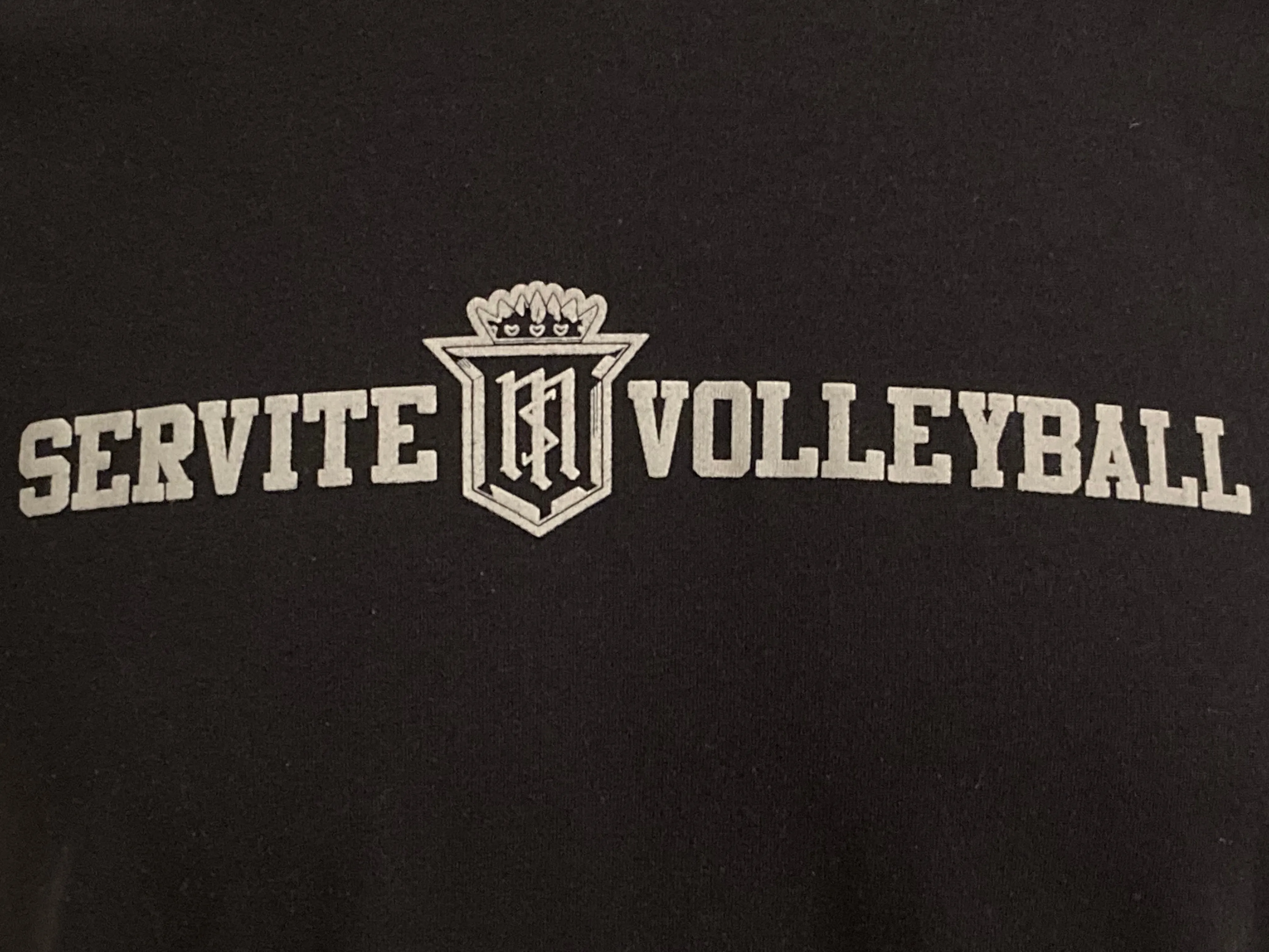 ADIDAS "SERVITE VOLLEYBALL" CLIMALITE Graphic Print The Ultimate Tee Adult T-Shirt Tee Shirt L Large Lrg Black 2015 Shirt