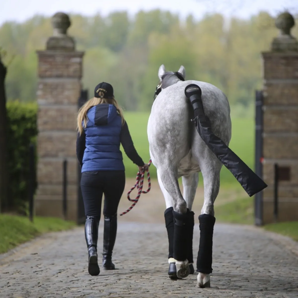 Horse Tail Guard With Bag (2 piece set) | Kentucky Horsewear