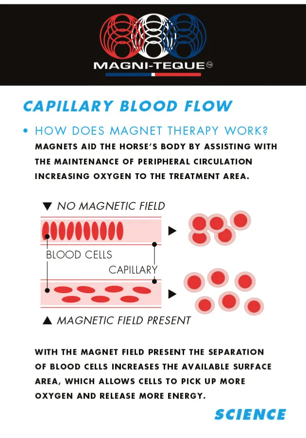 PEI Bi-Polar Magnet Liners